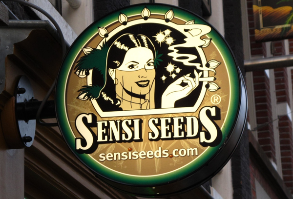 Semillas Sensi Seeds por todo el mundo