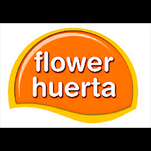 FLOWER HUERTA