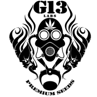 G13 Labs