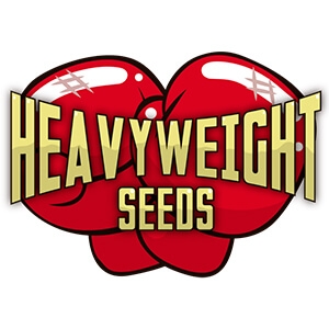 Heavyweight Seeds