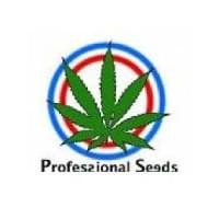 Profesional Seeds