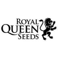 Royal Queen Seeds