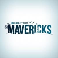 Mavericks Seeds