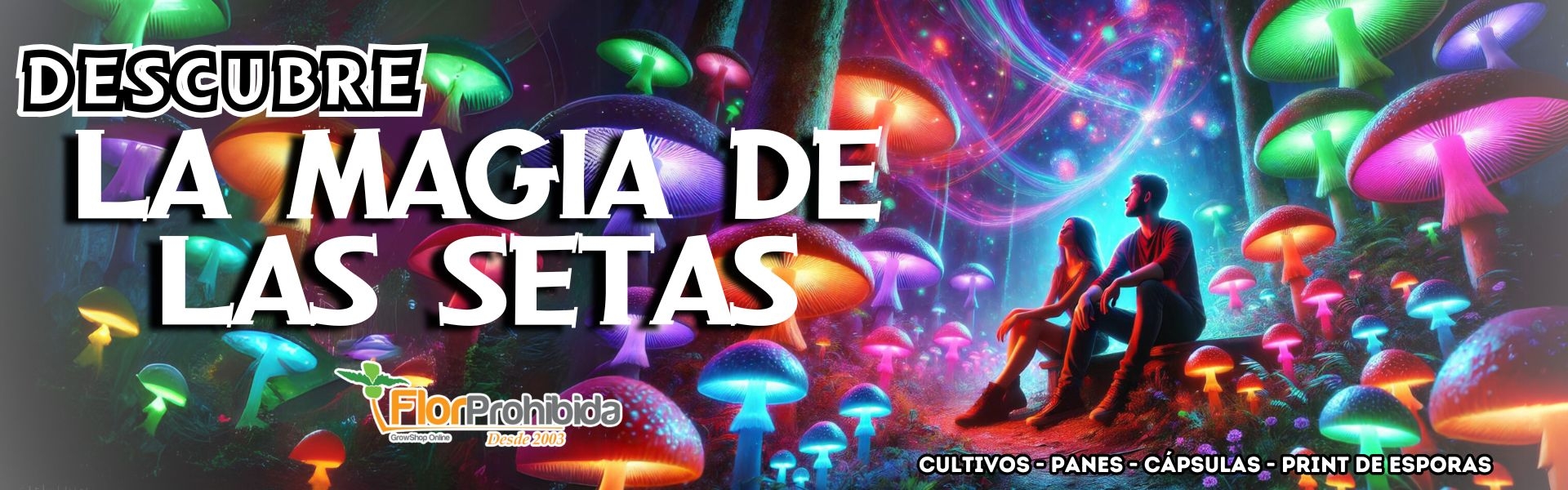 La magia de las setas